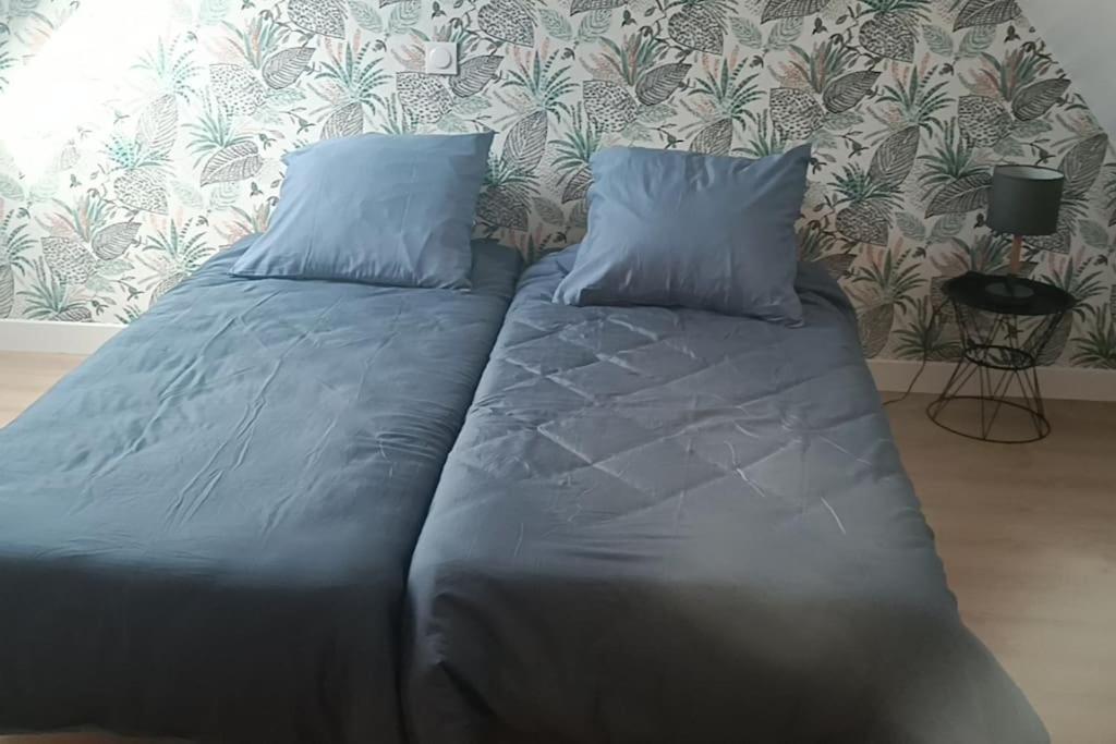 생 오뱅 쉬르 메르 Les Deux Pieds Sous La Couette 빌라 외부 사진